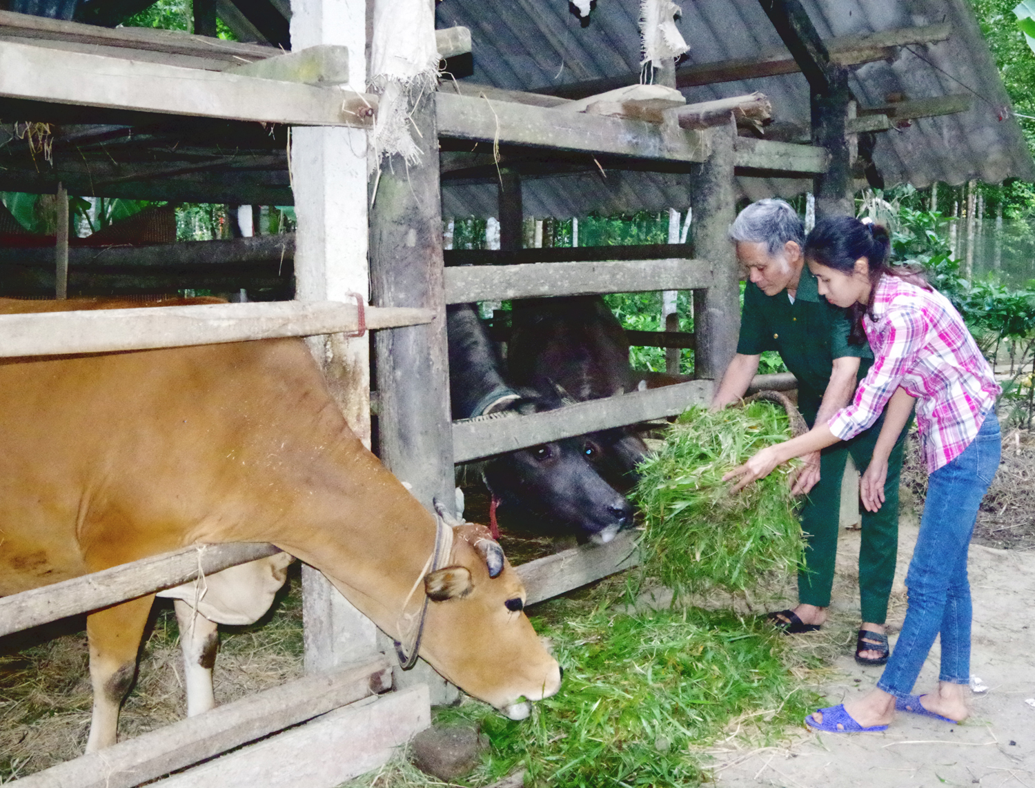 Chia sẻ yêu thương, đồng hành vượt khó

